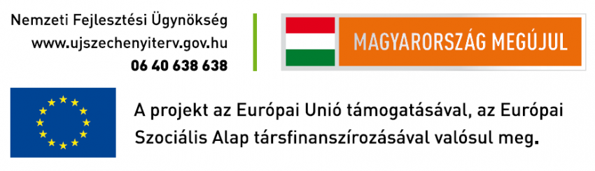 A Projekt megnevezése: GOP-2.1.1-09/A/2-2009-0709 A Projekt megnevezése: GOP-2.1.1-09/A/2-2009-0709