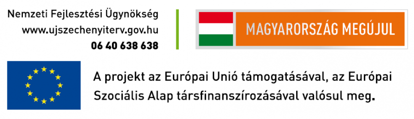 A Projekt megnevezése: GOP-2.1.1-09/A/2-2009-0709 